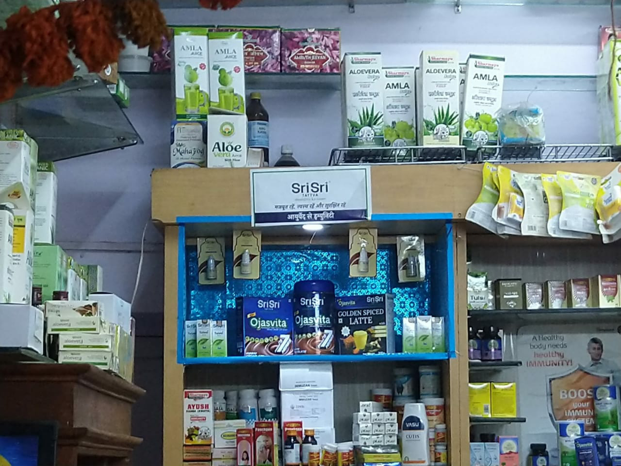 Ayurveda Initiative for Global Health