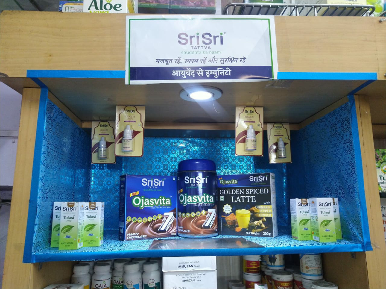 Ayurveda Initiative for Global Health