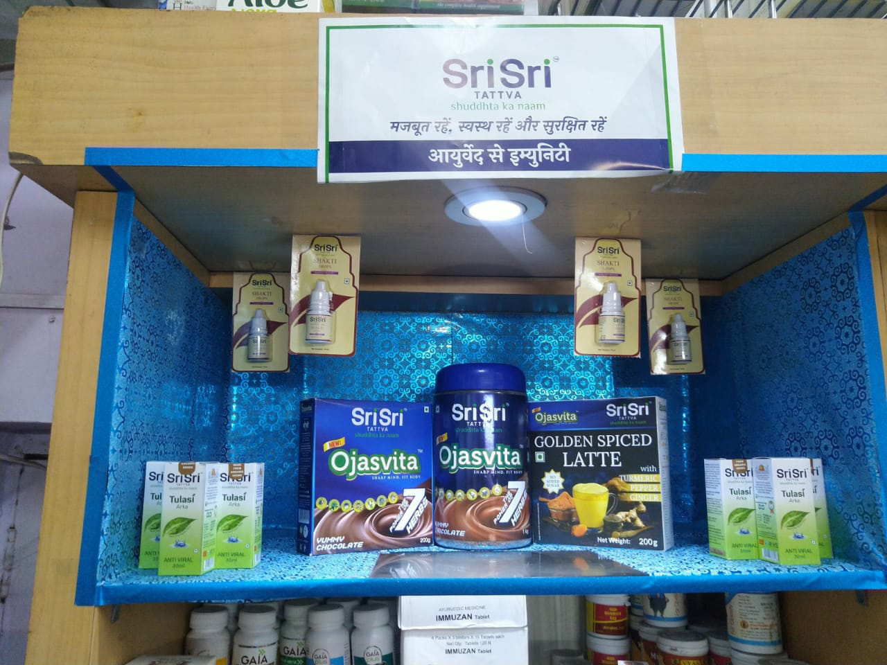 Ayurveda Initiative for Global Health