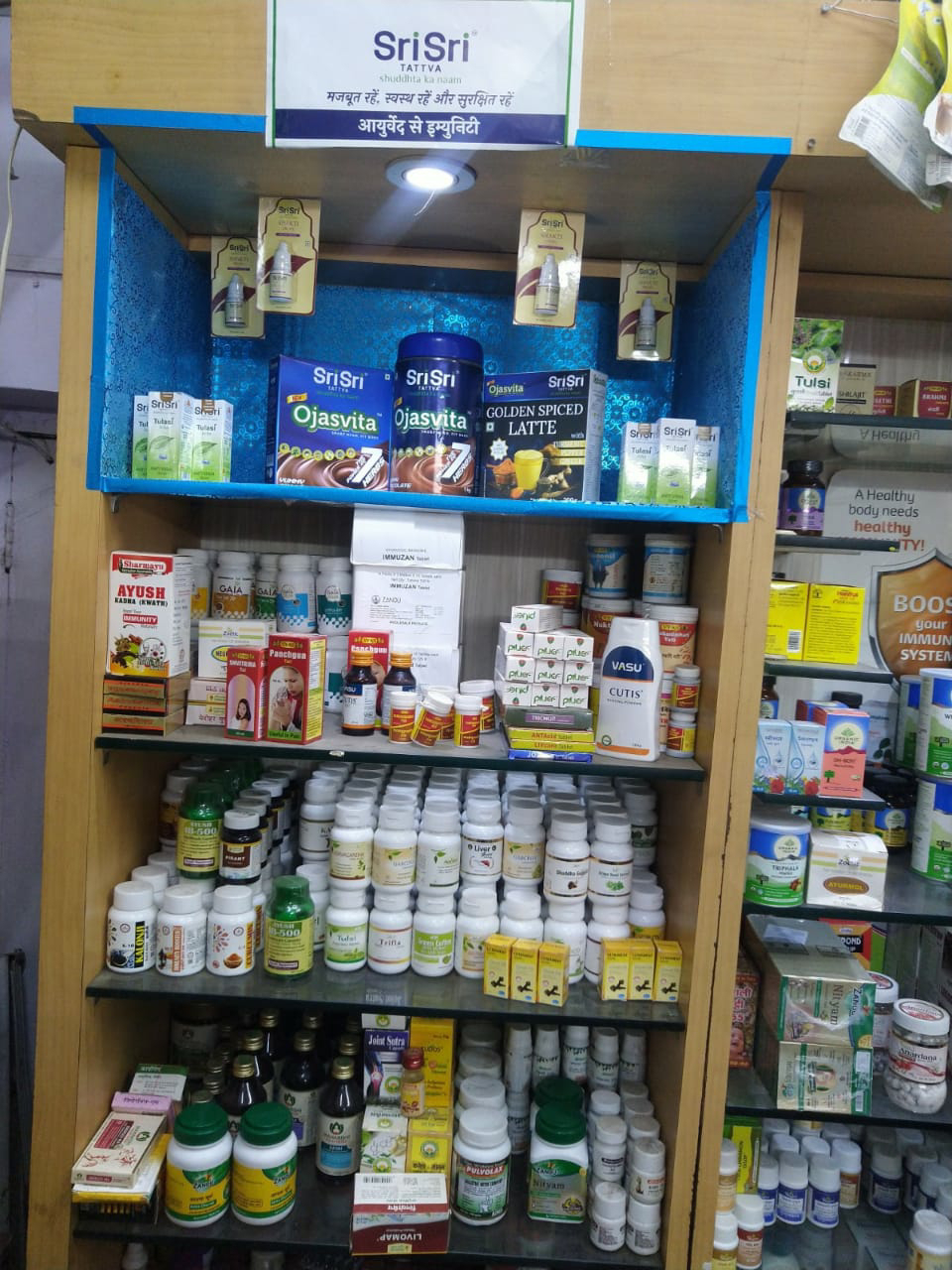 Ayurveda Initiative for Global Health